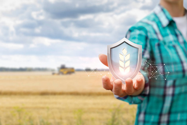 Harvest protection concept by farmers. Farmer shows a shield with an ear on the background of an agricultural field. - Photo, Image