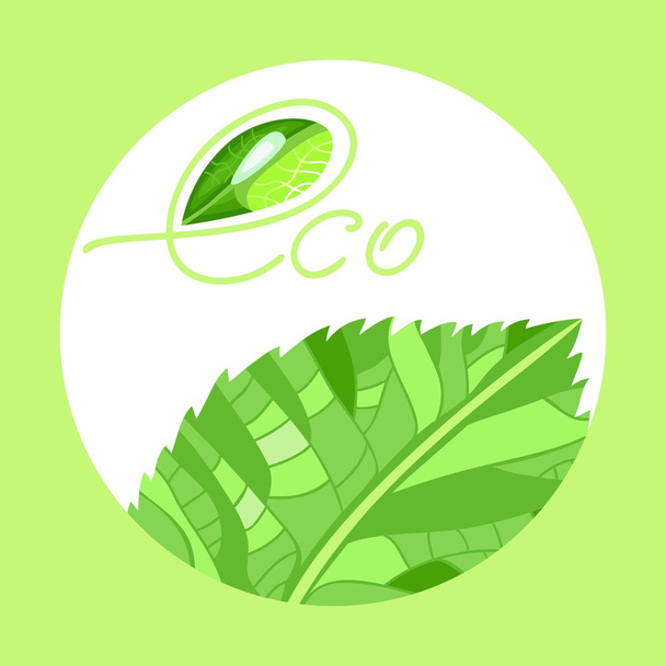 environmentally friendly product - Vektor, obrázek