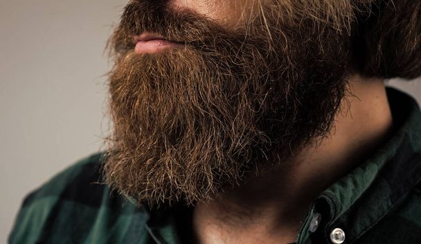 lush groomed beard of brutal bearded male man, hair care - 写真・画像
