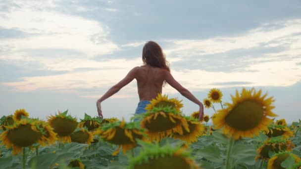 Happy woman in the field with sunflowers. slow motion video. smelling big sunflower on summer field. Delight of a pleasant smell. Summer holiday. lifestyle concept. - Footage, Video