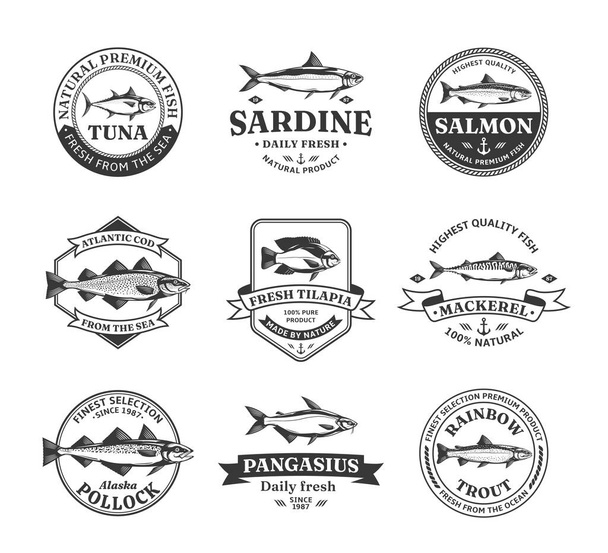 Vector vis logo en vis illustraties voor de visserij, zeevruchten markten, verpakking en reclame - Vector, afbeelding