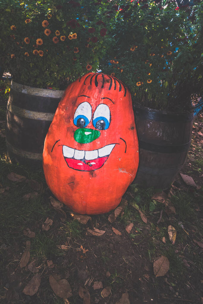 cute and funny halloween pumpkin vegetable - Foto, imagen