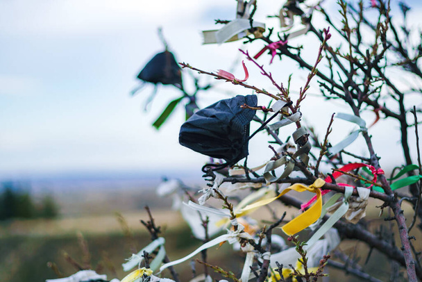 Tree branch with colored medical mask and ribbons of wishes in Cappadocia. Turkey - Photo, image
