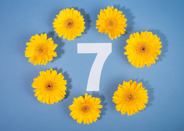 Number 7 surrounded with yellow gerbera flowers on blue background. - Foto, Bild