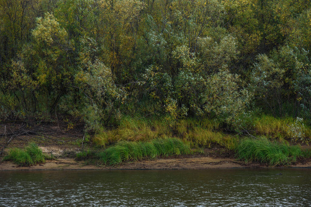 Uma pitoresca margem de rio no início do outono com grama no banco mudando sua cor de verde para amarelo. - Foto, Imagem