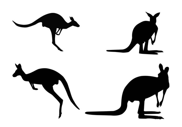 Черные силуэты кенгуру на белом фоне векторные фигуры Австралии. - Вектор,изображение