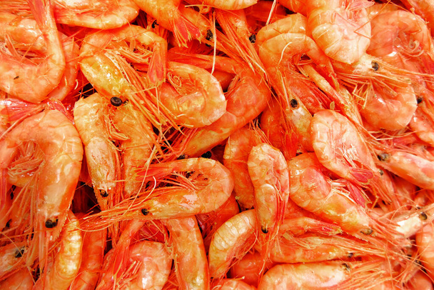 Πολλές κόκκινες γαρίδες. ένα πιάτο με φρέσκα θαλασσινά. φυσική πηγή πρωτεΐνης. λιγότερη κατανάλωση κρέατος. επιλεκτική εστίαση - Φωτογραφία, εικόνα