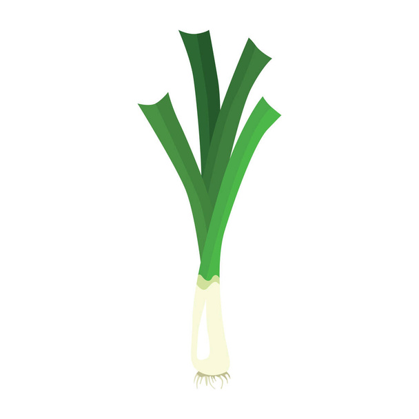Leek or pearl is a biennial herbaceous plant of the Onion subfamily. A tasty and healthy plant that is eaten. Vector illustration isolated on a white background for design and web. - Vettoriali, immagini