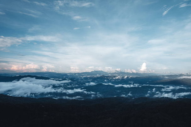 Fenyőerdő a hegyekben reggel forma felett drón - Fotó, kép