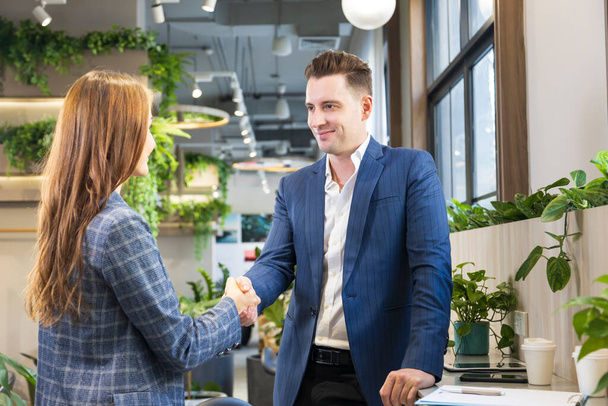 Caucasian businessman is shaking hand while working in green eco friendly modern working space surrounded by air purifying house plant - Фото, изображение