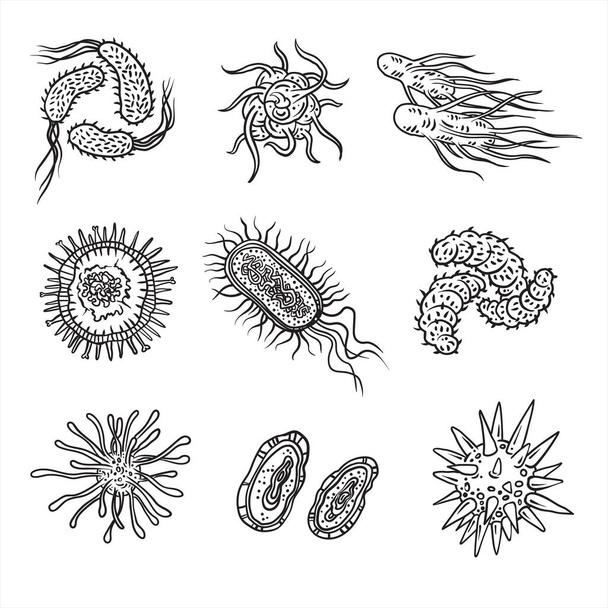 Simple set of bacteria virus icons for web design. - ベクター画像