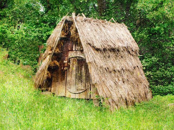 Une petite cabane en bois sous un toit de chaume en pente. Un vieux rustique - Photo, image