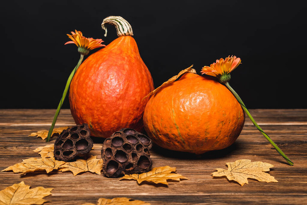 flowers and autumnal leaves near pumpkins and dried lotus pods isolated on black  - Foto, afbeelding