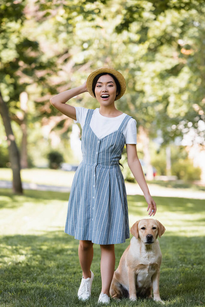 excited asian woman in striped sundress and straw hat looking at camera near dog in park - Foto, immagini