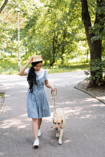 улыбающаяся азиатка дотрагивается до соломенной шляпы во время прогулки в парке с желтым лабрадором - Фото, изображение