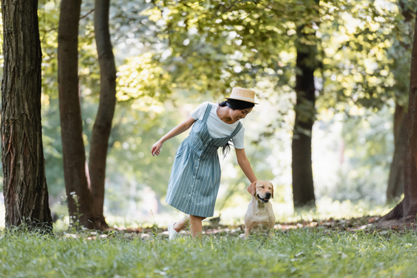 幸せなアジア人女性でストライプサンドレスストロークラブラドール犬で公園 - 写真・画像