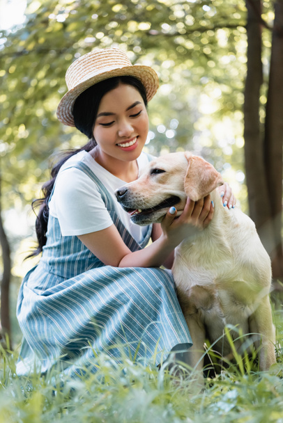 pleased asian woman in straw hat stroking labrador outdoors - Фото, изображение