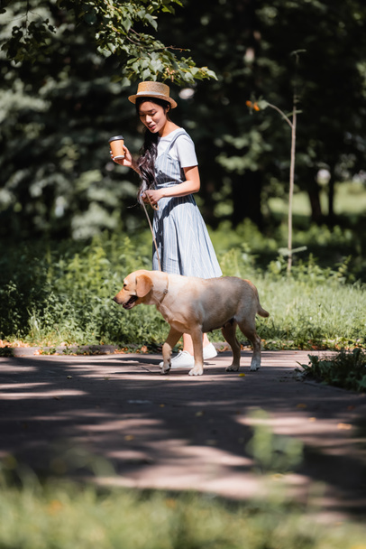 Ασιάτισσα γυναίκα κρατώντας καφέ για να πάει, ενώ το περπάτημα με κίτρινο λαμπραντόρ στο πάρκο - Φωτογραφία, εικόνα