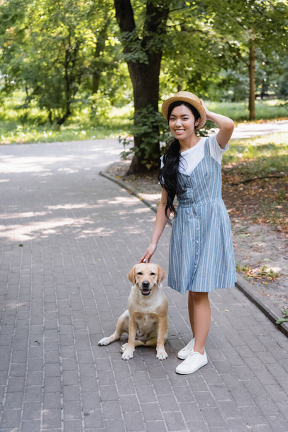 alegre asiático mujer en sundress y paja sombrero mirando a cámara cerca labrador en parque - Foto, imagen