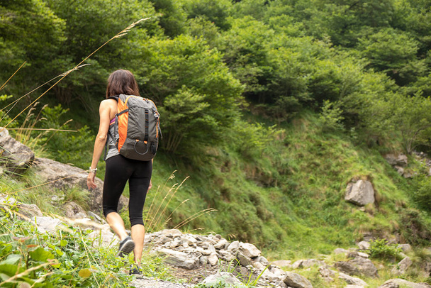 woman trekking to the source of the nervion in the province of vizcaya through a green valley - Foto, afbeelding