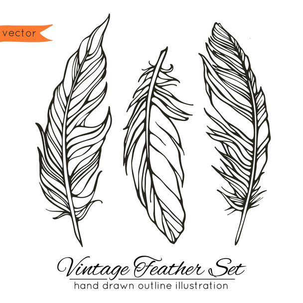Vintage feather set isolated on white - Vektör, Görsel