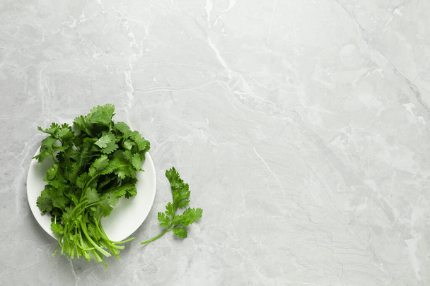 Fresh green cilantro on light grey marble table, flat lay. Space for text - Φωτογραφία, εικόνα