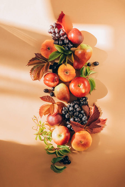 Концепция осеннего сбора урожая День благодарения. Спелые красные и желтые фрукты яблоки груши и листья винограда - Фото, изображение
