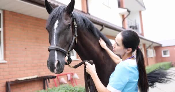 Veterinaria hembra acariciando caballo pura sangre en granja película 4k - Imágenes, Vídeo