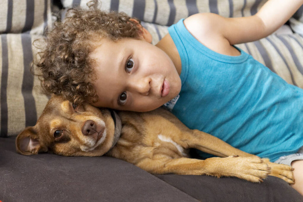 curly-haired boy lying with his puppy on the sofa at home - Фото, зображення