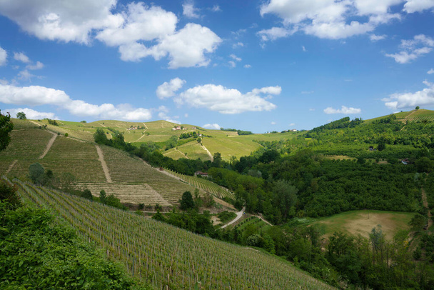 Сельский пейзаж весной в Ланге, недалеко от Дольяни, провинция Кунео, Пьемонт, Италия, объект всемирного наследия ЮНЕСКО. - Фото, изображение