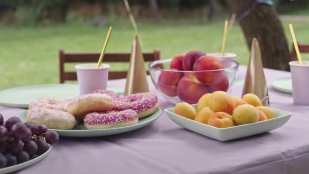 Jäljittäminen vasemmalla kulhoja hedelmiä, lautasellinen donitseja, paperi kupit olkia, dekantteri limonadi ja puolue hatut pöydällä ulkona - Materiaali, video