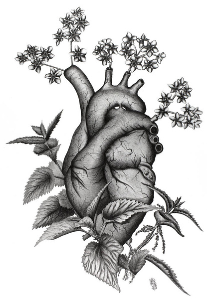 больное сердце в полном расцвете сил - Фото, изображение