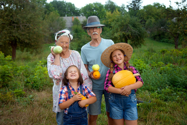 野菜の収穫を持って孫と幸せなシニアカップルおばあちゃんとおじいちゃん。農家の有機食品。幸せな家庭生活 - 写真・画像