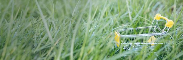 Устойчивое потребление. Пустой магазинной тележки на зеленом фоне травы. Концепция нулевых отходов. Принято. Баннер - Фото, изображение
