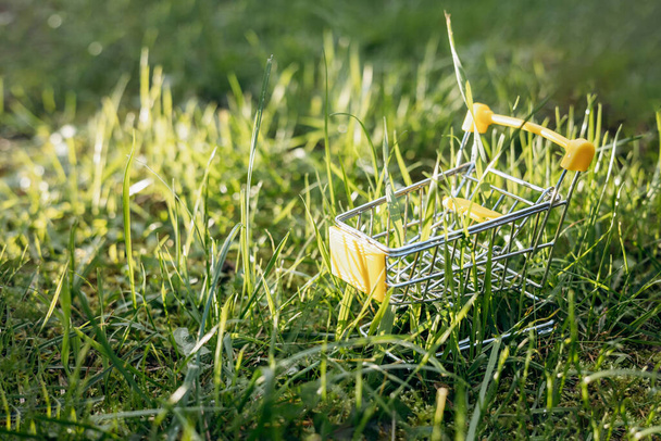 持続可能な消費。緑の芝生の背景に空のショッピングカート。廃棄物ゼロのコンセプト。スペースのコピー. - 写真・画像
