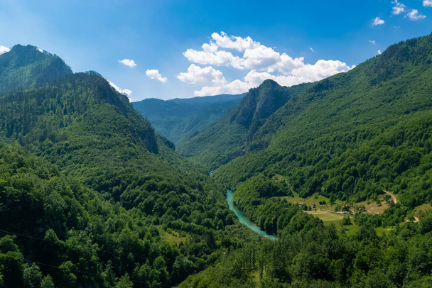 高い山の間に位置タラ川キャニオンやタラ川渓谷。キャニオンはヨーロッパ最大の深い峡谷です。モンテネグロ北部のドゥルデヴィツァ・タラ橋からの眺め - 写真・画像