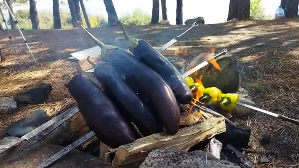Cooking green peppers and eggplant over the fire. In the forest we are preparing a dish with eggplants and peppers on the fire. Bon appetite - Footage, Video