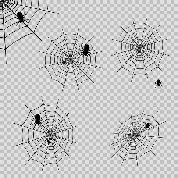 Şeffaf arka planda örümcek ağı ve yumurtalıkları olan bir deocrations seti. Vektör. - Vektör, Görsel
