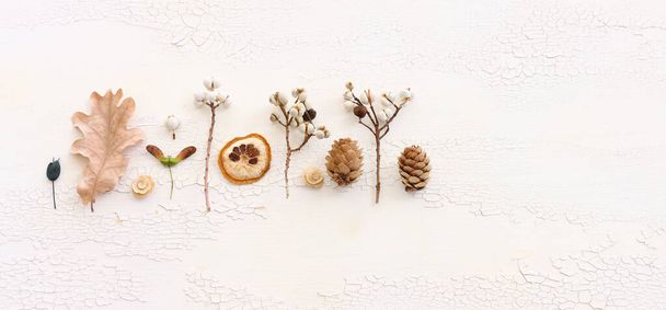 Top view image of autumn forest natural composition over wooden white background .Flat lay. Banner - Foto, immagini