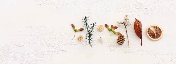 Top view image of autumn forest natural composition over wooden white background .Flat lay. Banner - 写真・画像