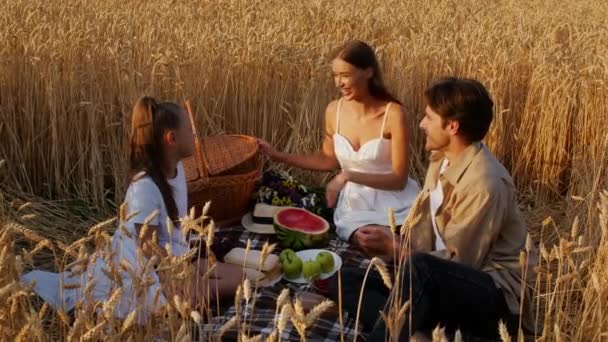 Šťastná mladá rodina tří piknik v pšeničném poli spolu. - Záběry, video