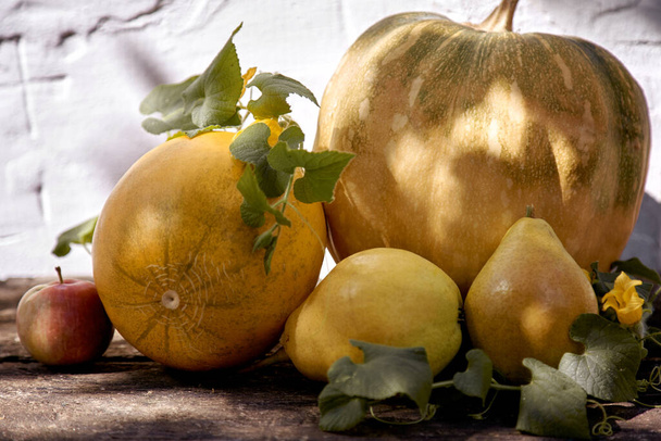 Jesienny jarmark martwa natura: żółte owoce i warzywa, dynia, gruszki, jabłko i melon. Koncepcja Święta Dziękczynienia. Jesienny motyw, nowoczesne cienie. Wysokiej jakości zdjęcie - Zdjęcie, obraz