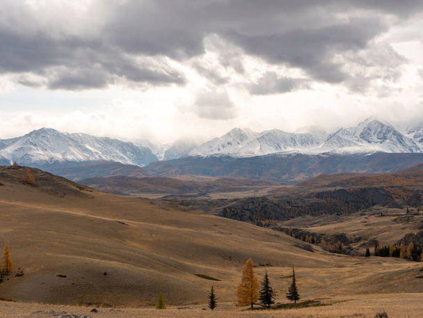 Vista de otoño de las montañas Altai, picos nevados y bosque mixto. Cordillera Severo-Chuysky, tramo Chuysky, República de Altai, Rusia. - Foto, Imagen