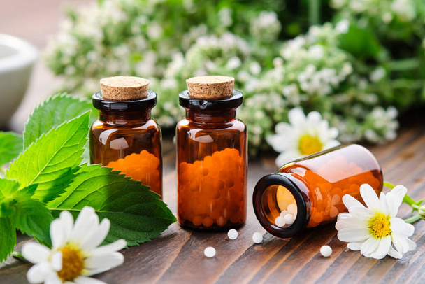 Bottles of homeopathy granules. Homeopathic remedies - Chamomilla, Mentha piperita. Daisies flowers and mint leaves on table. Homeopathy medicine concept. - Photo, image