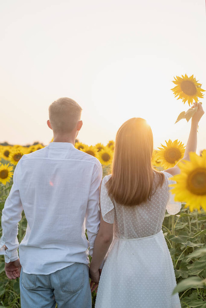 Syksyn luonto. Nuori romanttinen pari kävelee auringonkukkapellolla auringonlaskussa - Valokuva, kuva