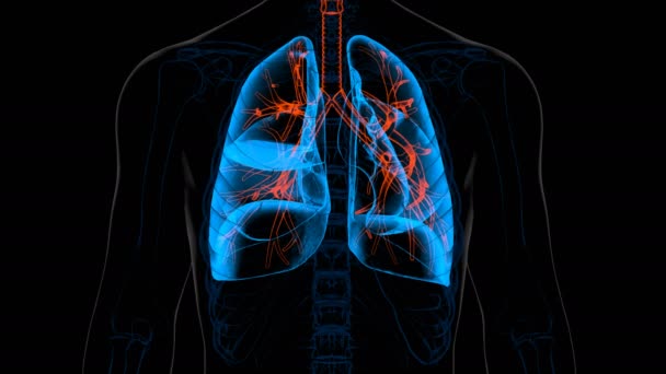 Menselijke longen ademhaling beweging van inspiratie en uitademingsfunctie 3D animatie - Video