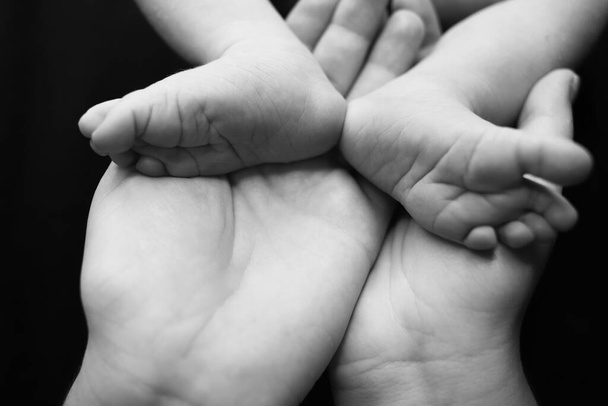 Kleine pasgeboren baby voeten in moeders handen. Zwart-wit - Foto, afbeelding