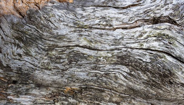 Fundo de textura de madeira velha. Textura de madeira. Natureza fundo material
 - Foto, Imagem