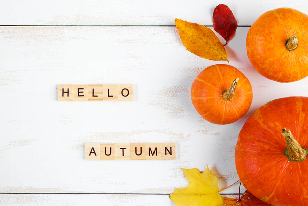 Hello autumn. Ripe pumpkins and fallen yellow leaves on a white background. Halloween and Thanksgiving symbol. Inscription in wooden letters. - Photo, Image