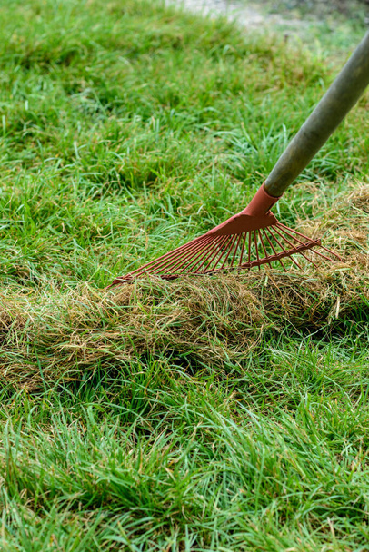 Чистка сміття і сухої трави з газону за допомогою віяла
 - Фото, зображення